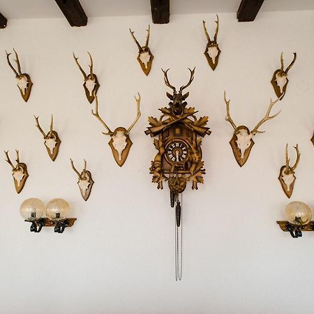 Hotel Dachsberger-Hof Wittenschwand ภายนอก รูปภาพ