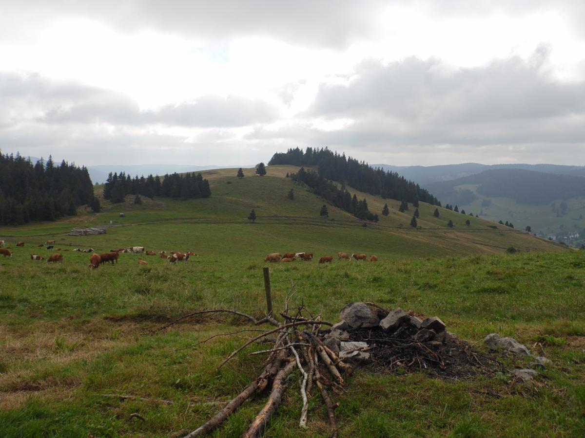Hotel Dachsberger-Hof Wittenschwand ภายนอก รูปภาพ