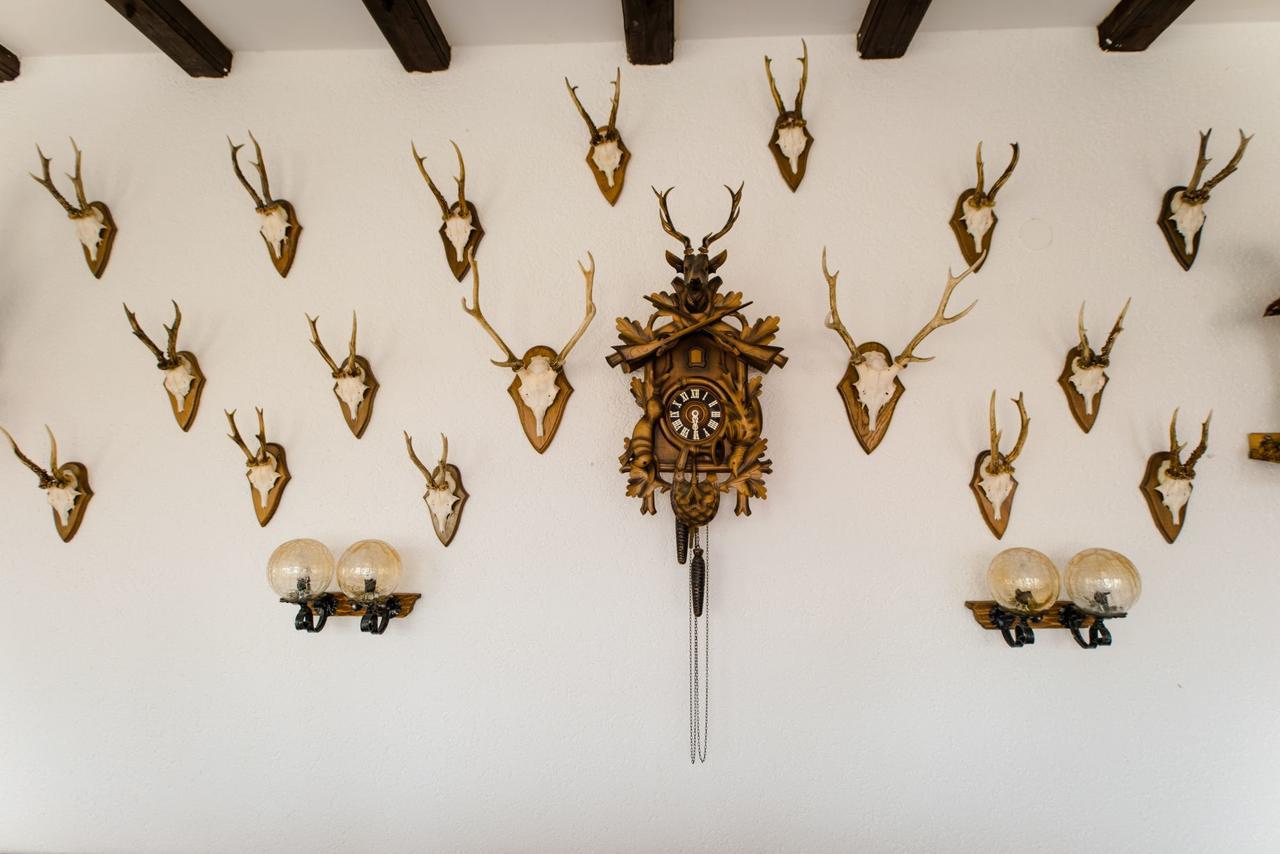 Hotel Dachsberger-Hof Wittenschwand ภายนอก รูปภาพ